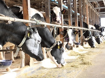 株式会社ゼルコバドリーム-5