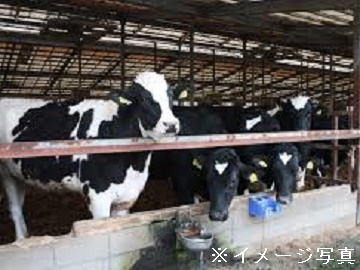 北海道網走市×酪農/法人【41743】-1