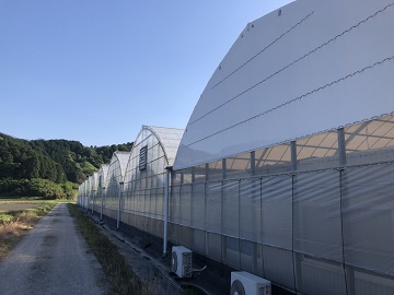 愛媛県四国中央市×施設野菜/法人【1049】-2