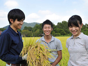 大信産業株式会社-top