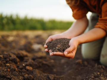 《11月18日(火)開催》【まずはここからスタート！】農業界の仕事まるわかりセミナー～あなたの可能性を広げよう！～-1