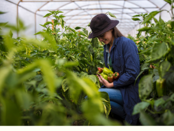 《11月18日(火)開催》【まずはここからスタート！】農業界の仕事まるわかりセミナー～あなたの可能性を広げよう！～-2