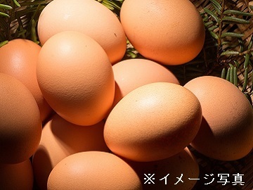 神奈川県相模原市×養鶏/法人【41814】-2