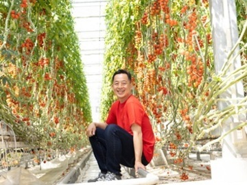 農業生産法人 株式会社井出トマト農園-top