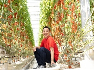 農業生産法人 株式会社井出トマト農園-top