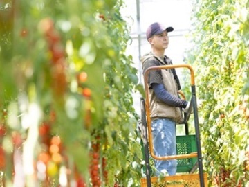 農業生産法人 株式会社井出トマト農園-3