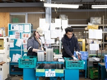 農業生産法人 株式会社井出トマト農園-6