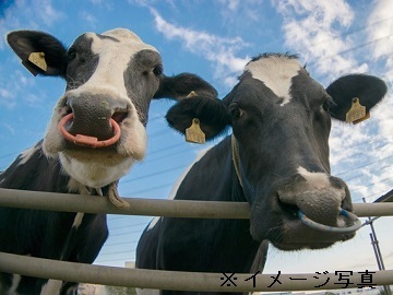 有限会社茶ノ木-3