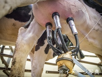 北海道猿払村×酪農/法人【41822】-1