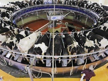 株式会社デーリィ・ソリューション【北海道:酪農機械メンテナンス】-3