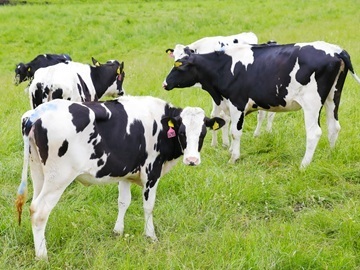 株式会社デーリィ・ソリューション【北海道:酪農機械メンテナンス】-6