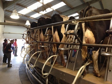 株式会社デーリィ・ソリューション【北海道:酪農機械メンテナンス】-5