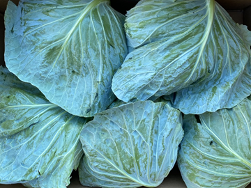 香川県観音寺市×露地野菜/個人【41837】-1