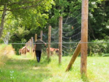 北海道×営業/法人【41845】-4