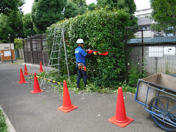 東武緑地株式会社【施工管理・造園】-6