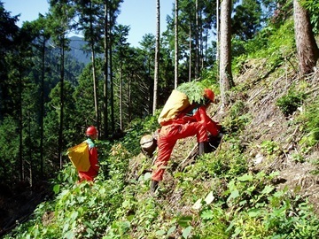 大阪府森林組合【大阪府:林業作業員 】-2