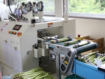 静岡県磐田市×野菜・水稲/法人【43607】-2