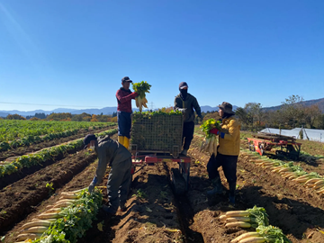 有限会社ノウカノミカタ-8