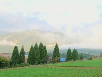 有限会社ノウカノミカタ-1