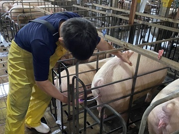 有限会社石原畜産-2