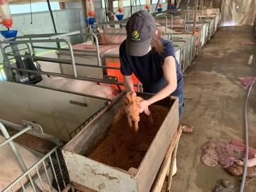 有限会社石原畜産-4