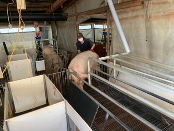 有限会社石原畜産-5