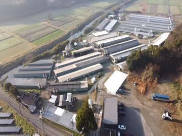 有限会社石原畜産-8