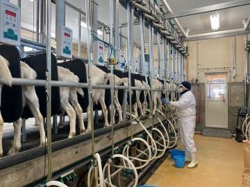 弘安倉庫株式会社【弘安牧場】-4