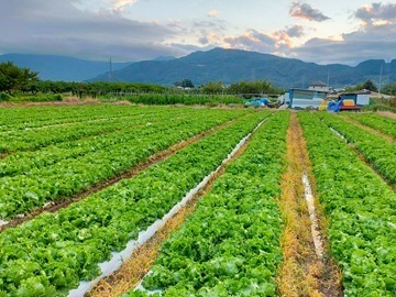 株式会社さんさんふぁーむ-8