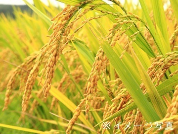 清和肥料工業株式会社【熊本県:農業技術普及職】-1