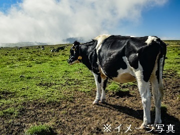 北海道紋別市×酪農/法人【41925】-2