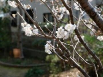 株式会社寺尾園芸土木【広島県:造園】-3
