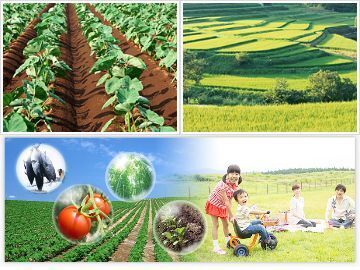 東京都中央区×農業資材営業・開発/法人【41929】-top