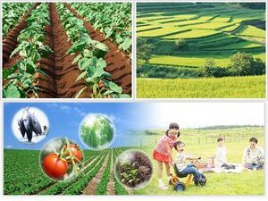 東京都中央区×営業/法人【41929】-top