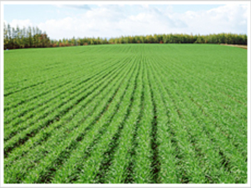 東京都中央区×農業資材営業・開発/法人【41929】-1