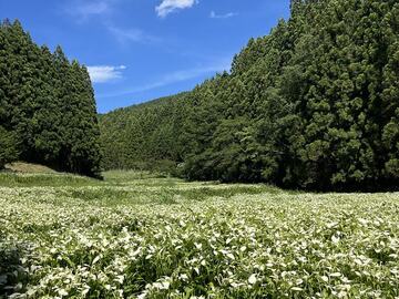 御杖村(地域おこし協力隊)-8