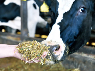 株式会社鈴久名牧場-4