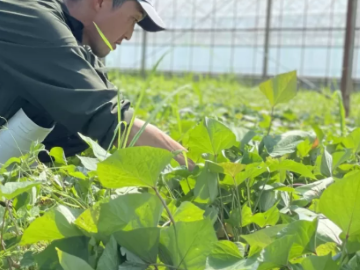 千葉県銚子市×流通事業立ち上げメンバー/法人【41943】-1