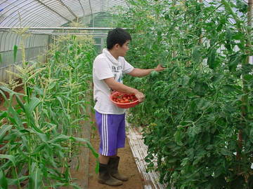 特定非営利活動法人礎(いしずえ)-2