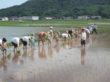 株式会社那須自然農園-1