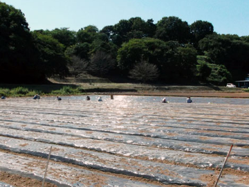 株式会社那須自然農園-5