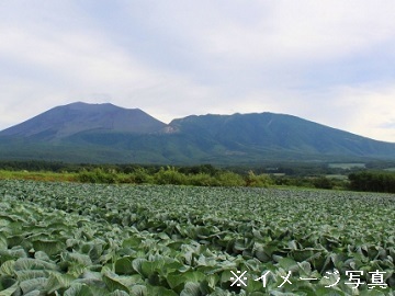 黒岩ファーム-2