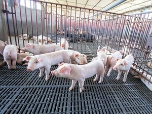 有限会社共立ファーム-top