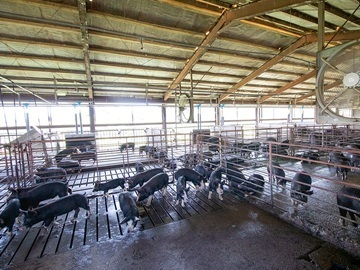 有限会社共立ファーム-2