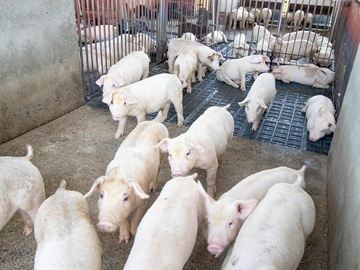 有限会社共立ファーム-4