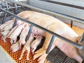 有限会社共立ファーム-5