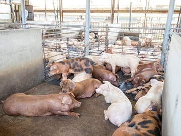 有限会社共立ファーム-7