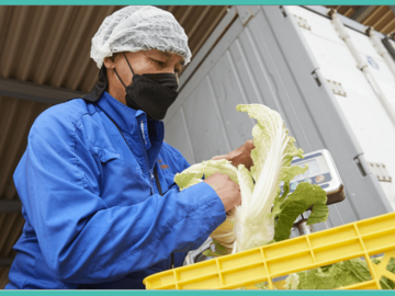 千葉県成田市×出荷業務/法人【42017】-2