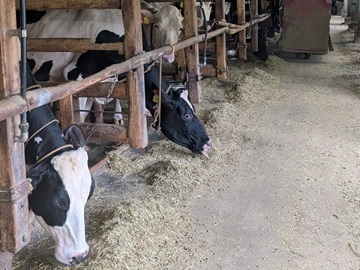 岡崎額田酪農ヘルパー利用組合-1