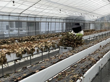 GrandBerry株式会社-6